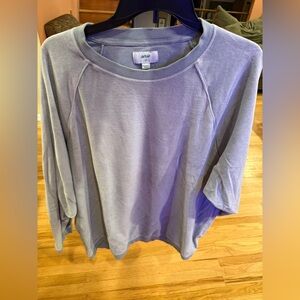 Aerie Light Blue Crewneck Sweatshirt – Size L/G